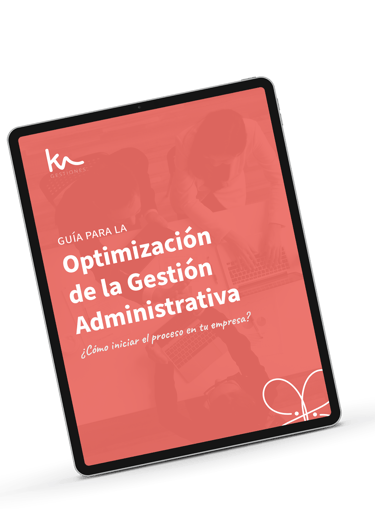 Guia gratuita optimización de la gestion 