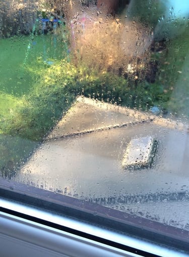 misted sealed unit in window