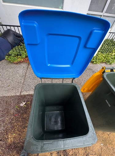 After Bin