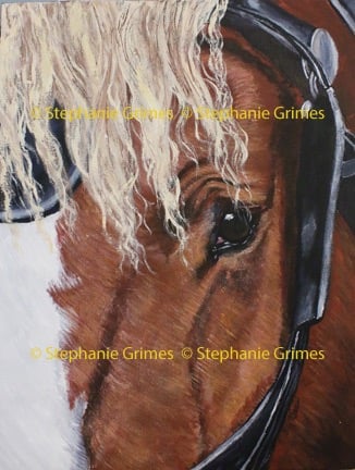 Detailed close-up Acrylic painting of a Belgian horse bridle, showcasing realistic texture.