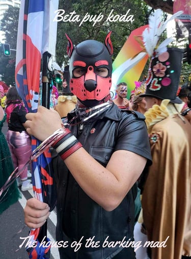 Man in pup mask at Pride parade.