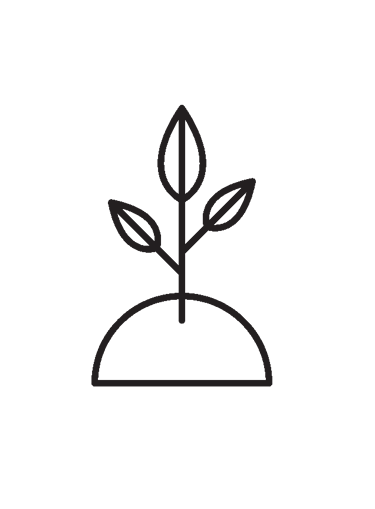 illustration of a sprouting plant in soil