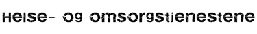 Statsforvalteren Helse, omsorg og sosialtjenester,Sofie Scott, Sara Cecilie Wilhelmsen Solheim,Hanne