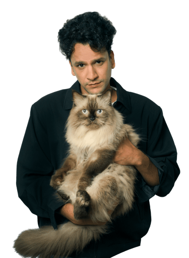 a man holding a himalayan cat - Gigo