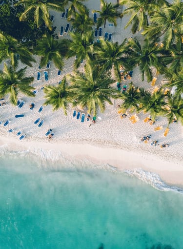 View of beach, ocean waves and palm trees from above
