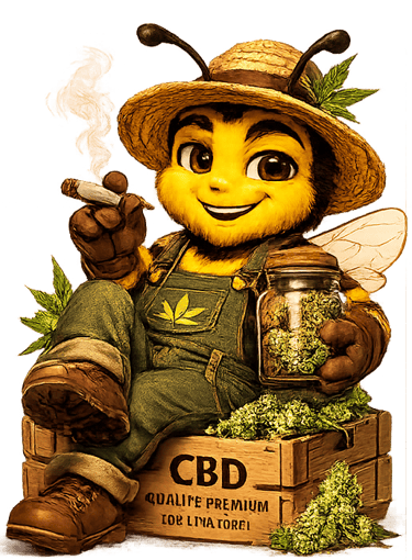 producteur cbd français naturel seine-et-marne cultivé-récolté-seché naturel 77