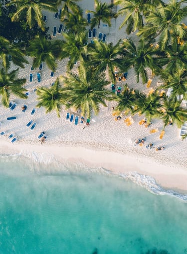 View of beach, ocean waves and palm trees from above