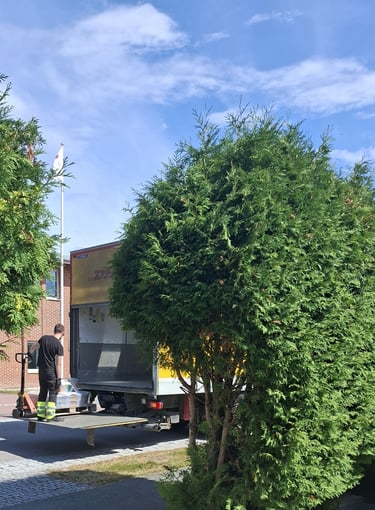 DHL enlève une palette de pots de peinture suédoise  en 2025 pour B to B