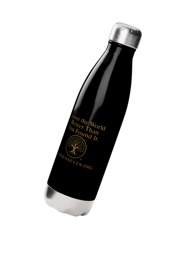 Stainless Steel Water Bottle