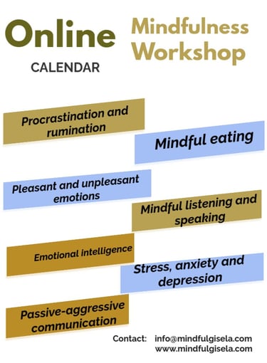 Topic list for 2-hour one-to-one Mindfulness sessions