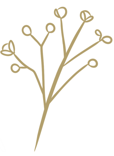 dessin d'une branche