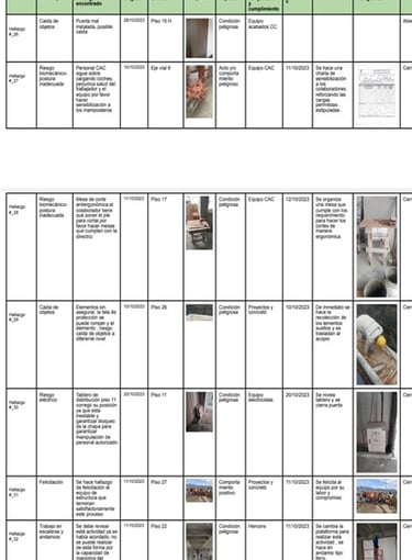 informes automaticos