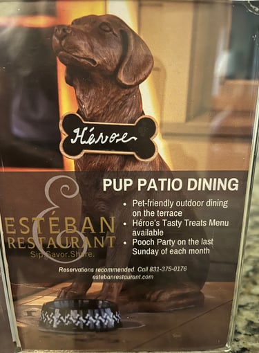 casa munras dog friendly monterey ca
