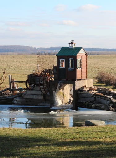 lac artificiel et paysagement pour maison