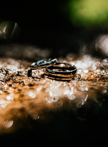 two wedding rings on a rock with water droplets
