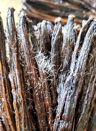 Up-close crystalized / frozen vanilla beans