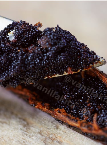 Vanilla caviar