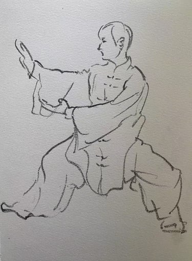 Tai Chi Qigong training