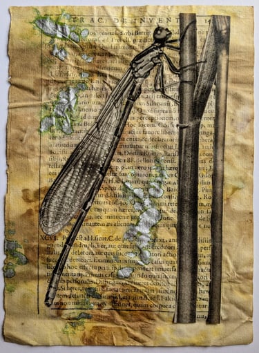 vintage collage - Dragonfly