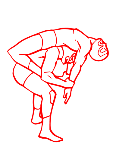 Luchadores Wrestling