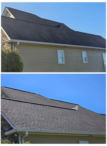 Roof Cleaning Soft Wash Wesley Chapel FL