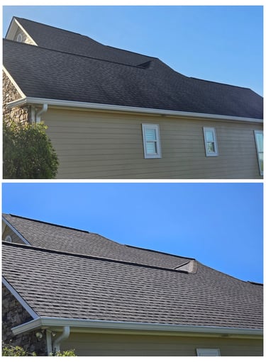 Roof Soft Wash Service Wesley Chapel FL