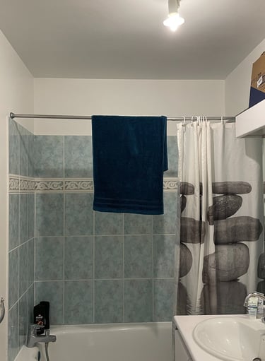 a bathroom with a bathtub and a shower