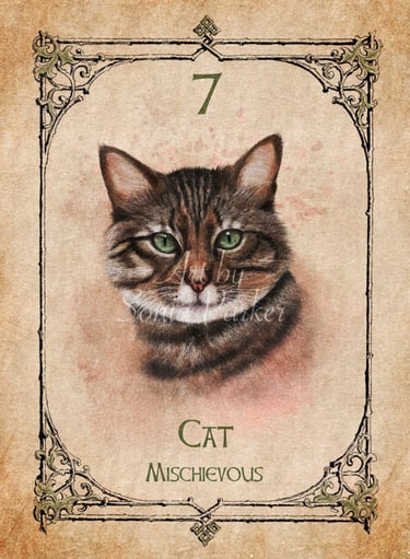 Cat, a card from the animal spirit oracle deck