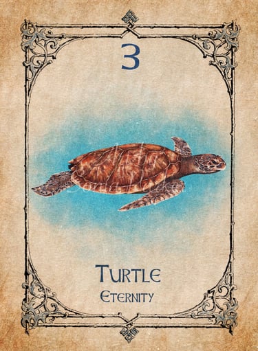 Turtle card from the animal spirit oracle deck
