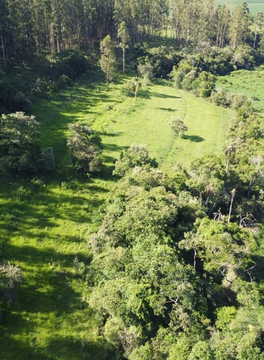 regularização ambiental