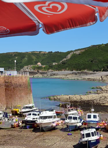 Bonne Nuit Pier Jersey