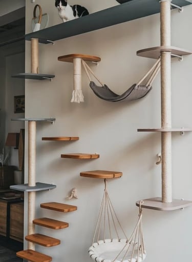 Wall-mounted cat route with climbing shelves, resting hammocks and multiple platforms for cats in a