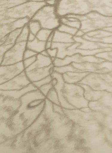 This graphite drawing depicts tree shadows in summertime