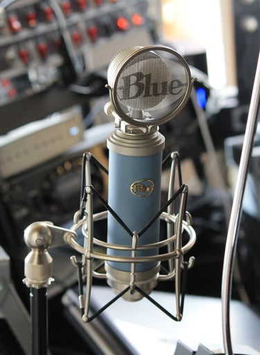 micro bluebird du studio rosebirdstudio