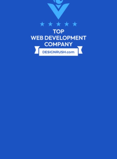 top web development company by designrush