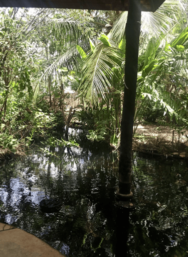 lago na sala resfriando o ar entrando