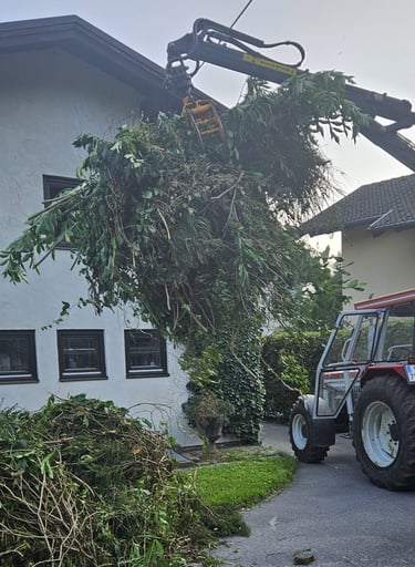 Ein großer Haufen Grünschnitt wird mit dem Kran eines Ladewagens hochgehoben