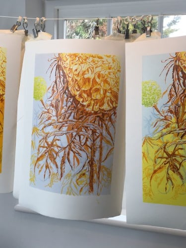 Linocut: Marigolds Three Ways