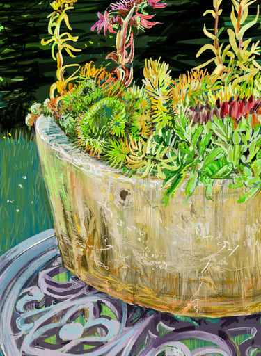 Sempervariums - digital drawing