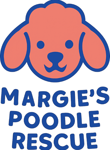 Margie's mini poodle and toy poodle rescue