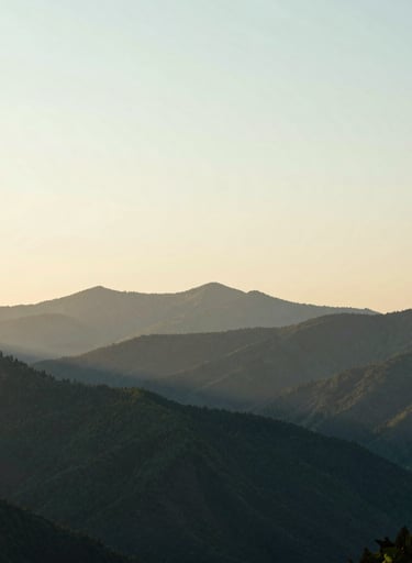 Wide shot of a North American mountain range at dawn, the peaks silhouetted against a creamy ivory and soft mint sky, deep forest green shadows in the valleys, minimalist and peaceful composition.