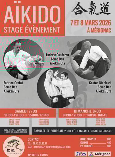 stage d'Aïkido Mérignac Matsukazé