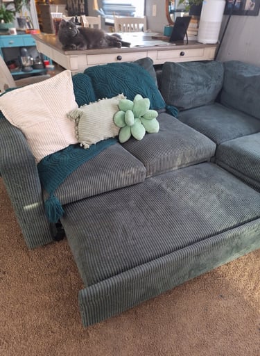 Sleeper sectional sofa used in my living room