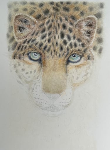 Leopard