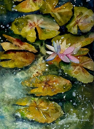 A rainbow Lily flower alone among the floating leaves in a sparkled shimmering pond