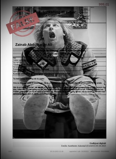  Zainab Abdulkarim Ali, Art ، زينب عبد الكريم، الفن التشكيلي، العراق، النرويج، اوسلو،  وثائق دعاوي كيدية