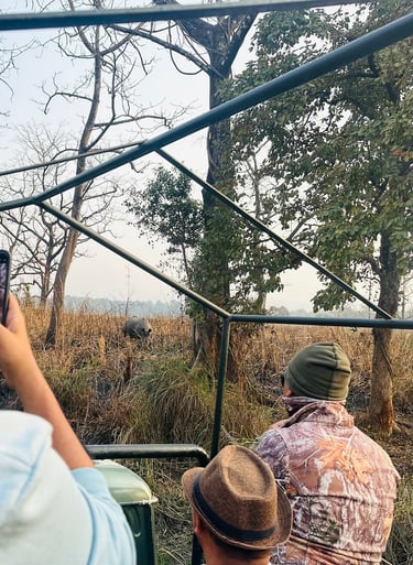 Rhino Sighting