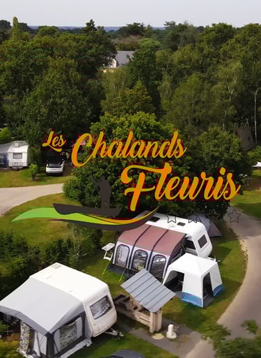 a group of tents and tents with trees in the background