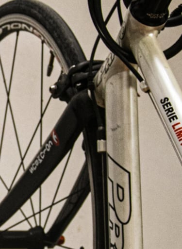 Supporto per bicicletta, e-bike, MTB, downhill, enduro nel garage del B&B, hotel