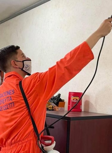 Fumigacion en fumigaciones cadereyta